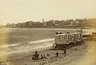 Lower Marine Terrace  [Albumin Print]